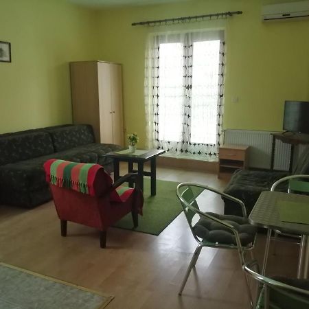 Apartments Hadzi Сокобаня Экстерьер фото