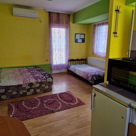 Apartments Hadzi Сокобаня Экстерьер фото