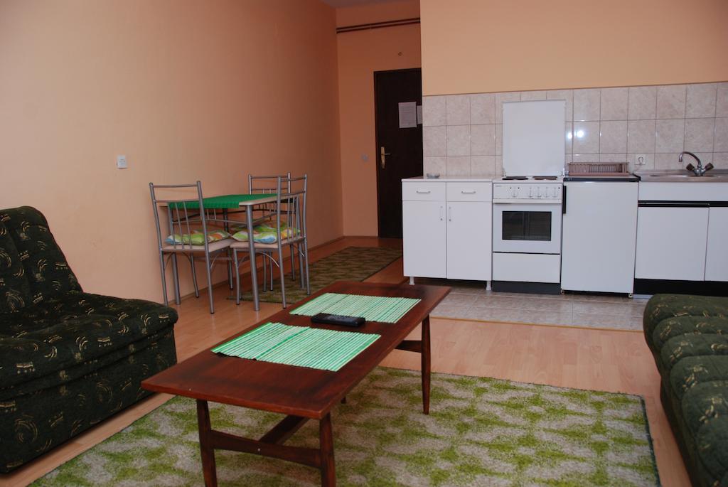 Apartments Hadzi Сокобаня Экстерьер фото