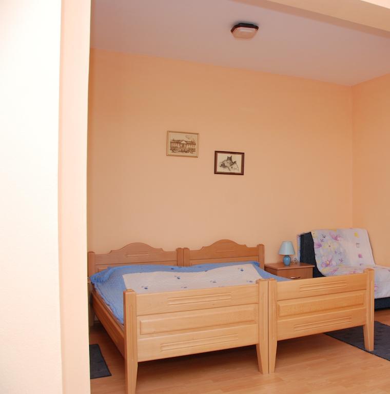Apartments Hadzi Сокобаня Экстерьер фото
