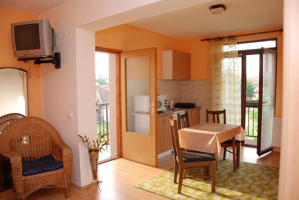 Apartments Hadzi Сокобаня Номер фото