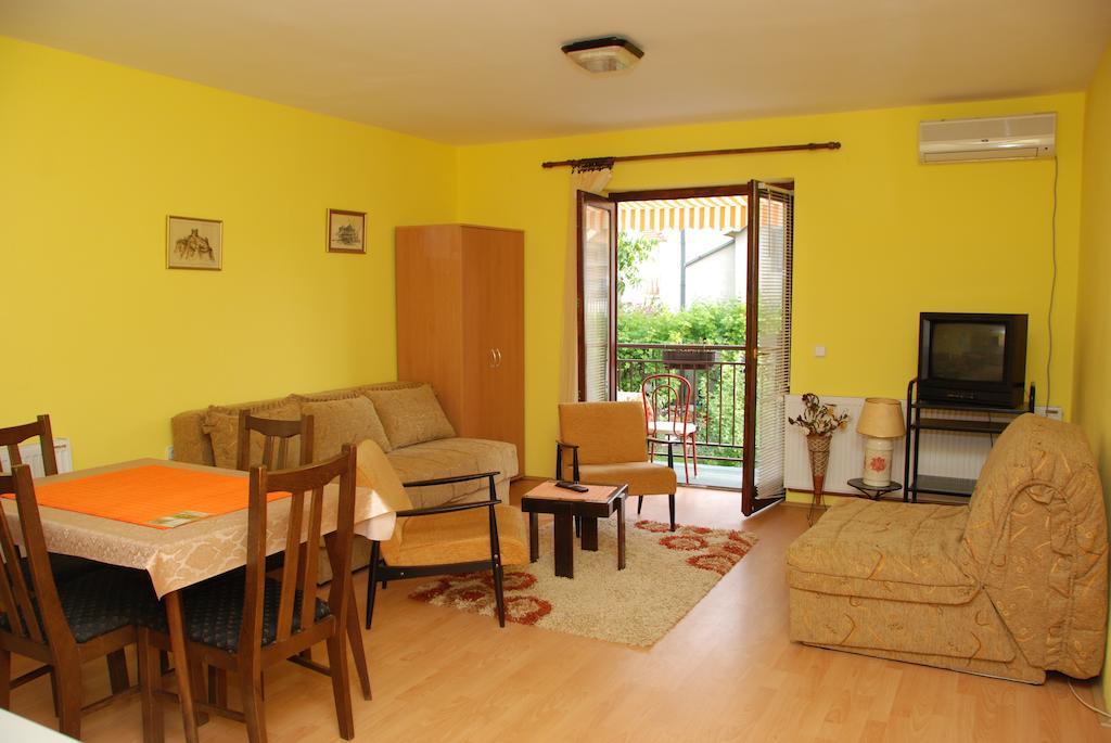 Apartments Hadzi Сокобаня Номер фото